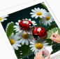 Preview: Diamond Painting Marienkäfer